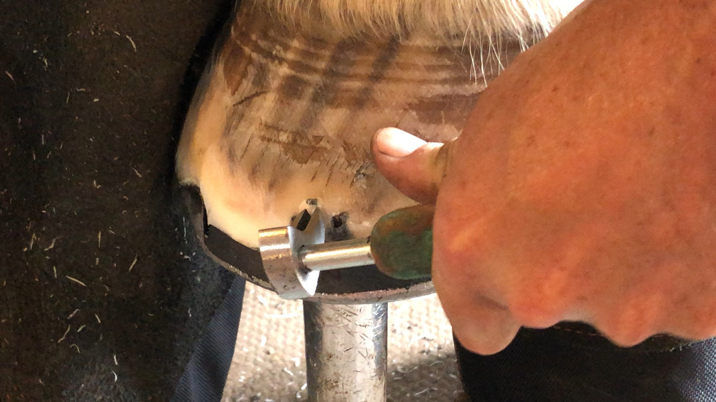Hammer Clinch Gouge